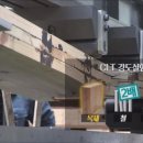 착한나무 이미지