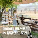 애니멀스토리 | 포천 데이트코스 아이와 가볼만한곳 마이애니멀스토리 in 평강랜드 후기 : )