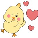 블럭땅땅