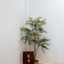 월롱떡방앗간 | 파주/월롱 _ 수제 생과일모찌를 당일 생산•판매하는, 따뜻한 감성 카페 <월롱다락>