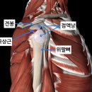 하얀마음한의원 이미지