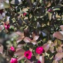 평화공원 쪽 이미지