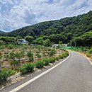 하방소 포레스트 이미지