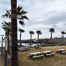 메가리조트제주 이미지