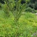 솔안농장 이미지