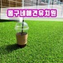 몽구네 애견유치원 이미지