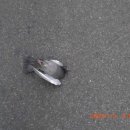 시청앞길 이미지