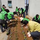 중앙동 문화의거리 이미지