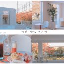 샌드비(SandB) 이미지