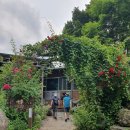 칠선산장 | 지리산 칠선계곡 맛집, 뷰와 맛을 한 번에 [칠선산장] 이용 후기, 토종닭볶음탕 최고!