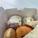 무주포레스트 이미지