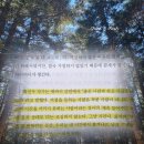 수도관광㈜ | 마음을 읽는 감각 책 | 구범준 책 후기 | 착한 당신이 아니라 쉬운 당신이었다 추천 리뷰 핵심 요약