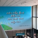 양천구청 이미지