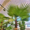 소백정원 이미지