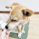 다온목장 이미지