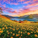 풍경목장 이미지