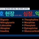 사이버알엔