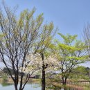 행구수변공원 화장실 이미지