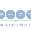 괴정바른한의원 네이버블로그