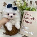 균영농장 이미지