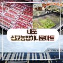 하나로마트 | [내포마트] 삽교농협 하나로 대형마트 솔직 후기