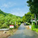 백운산 텃골 팬션 이미지