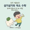 설기설기 이미지