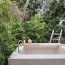 표선여가 이미지