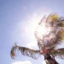 구름산초등학교 이미지