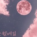 오고네일 이미지
