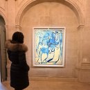 피카소 | 파리 마레지구 가볼만 한 곳 피카소 미술관 LA COLLECTION 전시 후기 :)