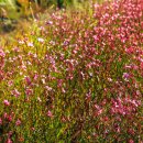 신명골프 이미지