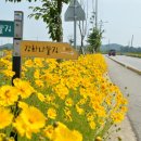 해안도로입구 이미지