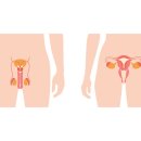 쾌속한의원 이미지