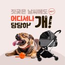 도도펫 - 시흥시 수인로 2323 | 도도펫