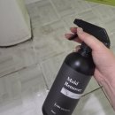 스테이99.9 | 욕실 곰팡이추천 욕실청소세제 온스테이 초강력 곰팡이제거제 후기