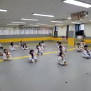 최강하늘태권도 이미지