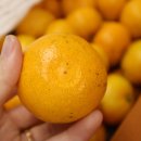 동환농장 이미지