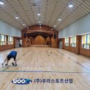 용인대일초등학교 티스토리