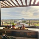 반디스테이 | 서귀포조용한숙소 스테이반디오름 신방산뷰가 예술인 곳