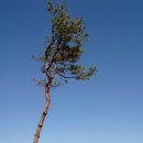 혜진농장 이미지