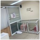 강아지집 미용실 이미지