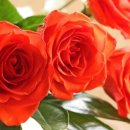 고전으로 배우는 한자 이미지