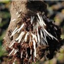 제우스커피 이미지