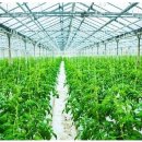 종경농장 이미지