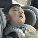 백률로(북) | 아이랑 경주 호텔 라한셀렉트 경주 더 플레이트 조식/ 석식까지