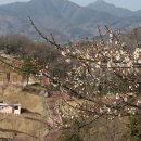 하동공원섬호정 이미지