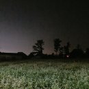 서당골상회