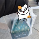 가시머뭄 | 1.28~1.30