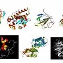에스메드 이미지